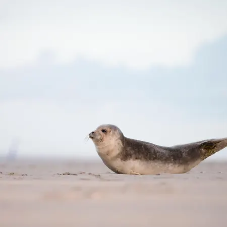 Strandbude 게스트하우스